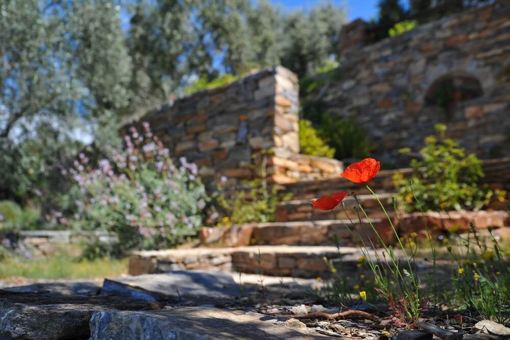 Retaining Wall vs Landscape Wall, Which is Better Retaining Wall vs Landscape Wall, Which is Better